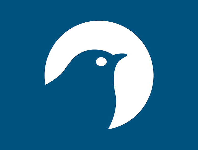 robin telecom